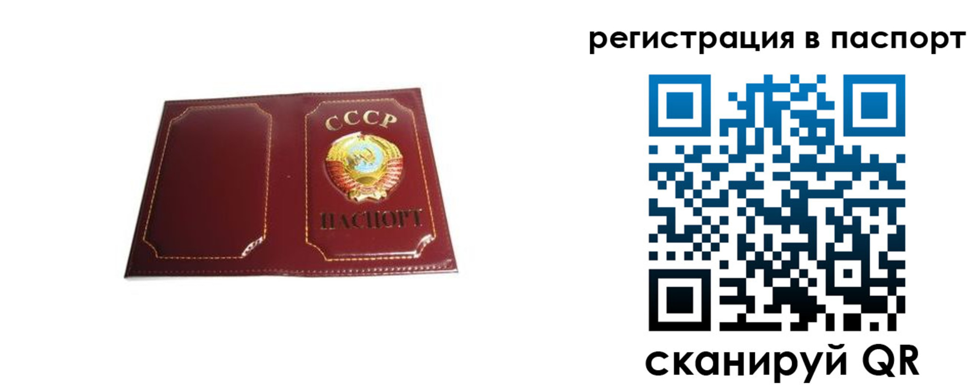 прописка 2025 в Шагонаре